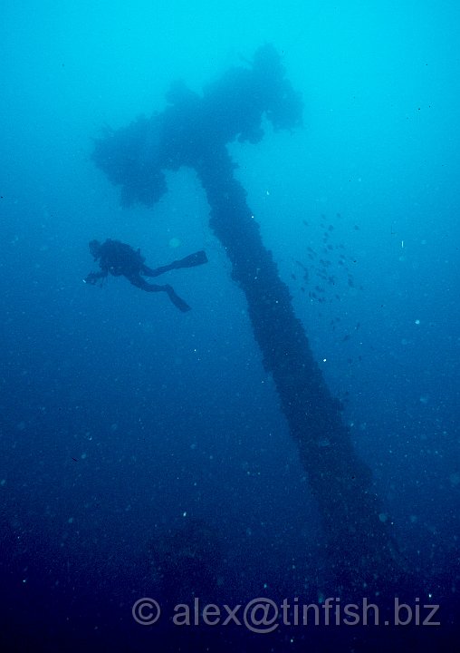 T Mast2.jpg - Descending down the forward mast